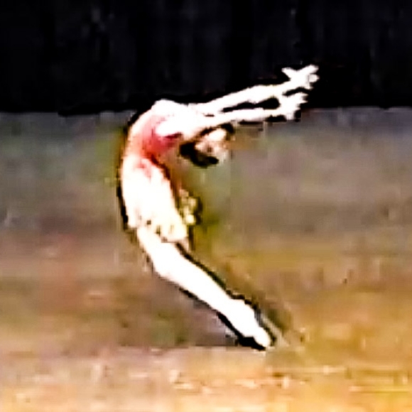 Meet your Posher, Tinydancer - Picture 3 of 9